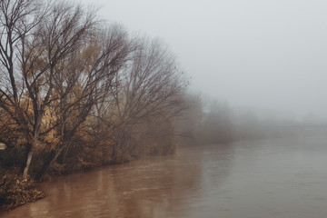 Obraz na płótnie Canvas misty and melancholic morning on the river at winter