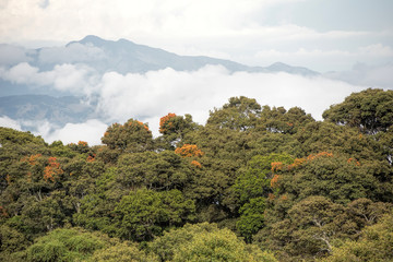 cartago region in costa rica