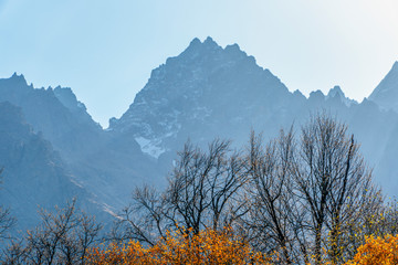 Fototapete bei efototapeten.de bestellen   
