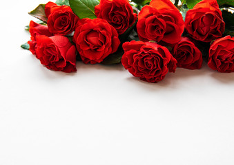 Red roses on white background
