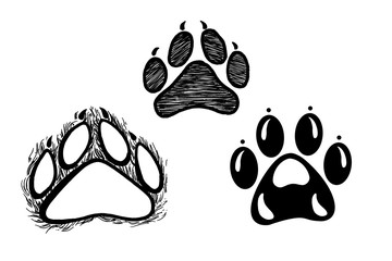 Hand drawn animal trails, sketch graphics monochrome illustration
