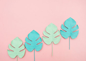 Monstera leaves on pink background.