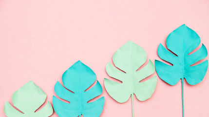 Monstera leaves on pink background.