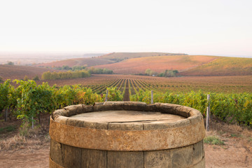 Red wine with barrel on vineyard in green Tuscany, Italy