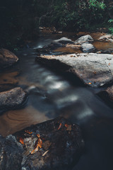 River in nature in the morning