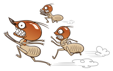 Termites running away