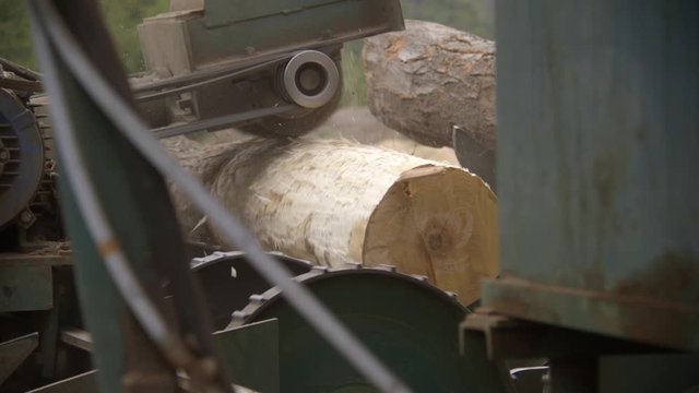 Logging wood mill in Northern Michigan with piles of logs getting cut into lumber wood planks ripping pff the bark and other removal for trees to be cut into lumber