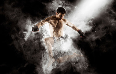 Obraz na płótnie Canvas MMA male fighter kick