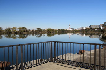 災害用緊急船着き場のある江戸川風景