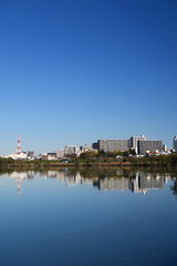 Fototapeta premium 松戸市街地を望む冬の江戸川風景