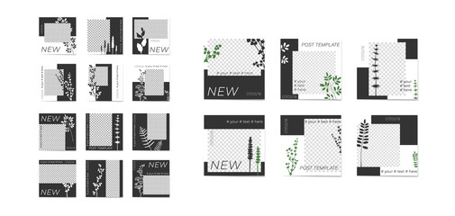 White silhouettes of plants on a black background. With place for your foto.