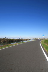 冬の江戸川サイクリング道路と青空風景