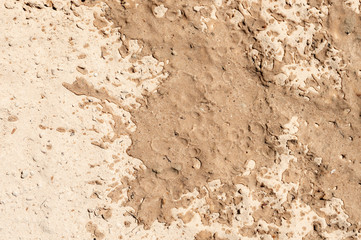 Wet and dry sand. The texture of yellow sand. Natural background