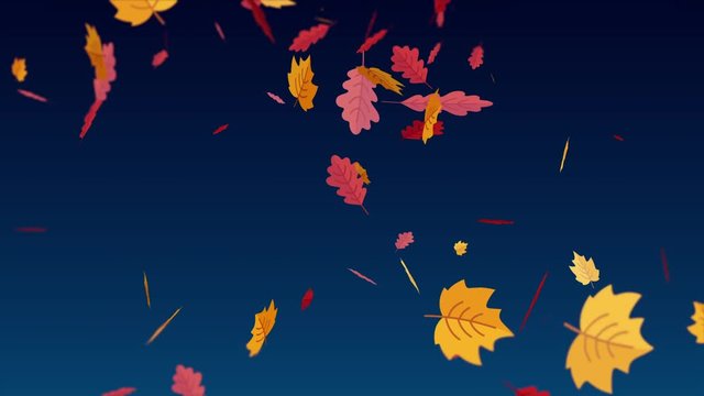 Falling leaves on dark navy blue background