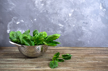 Fresh spinach leaves in a bowl on a wooden table. Useful, tasty, low-calorie greens. Young spinach sprouts. Keto diet. Copy space