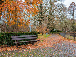 Empty wooden bench among the golden leaves in Maastricht town park on a winter's day
