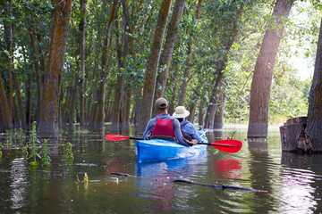 Son with mother paddle a blue kayak in wilderness areas at Danube river among flooded poplar trees...
