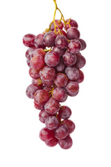 Ripe grapes