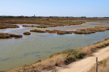 landscape (marsh) on noirmoutier island (france) 