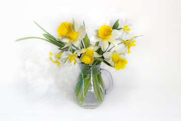 Fototapeta na wymiar Spring flowers.A bouquet of yellow daffodils in a glass vase on a white background.