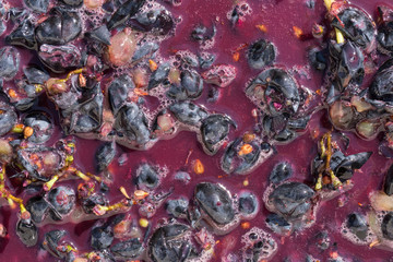 Wine material, grape juice - must, stum, maun. Technology of wine production in Moldova. The folk tradition of making wine. The ancient tradition of grape processing.