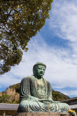 Obraz premium Great Buddha of Kamakura or Kamakura Daibutsu is a World Heritage Site by UNESCO at Kotoku-in Temple.