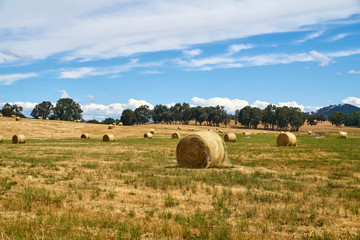 The haystack