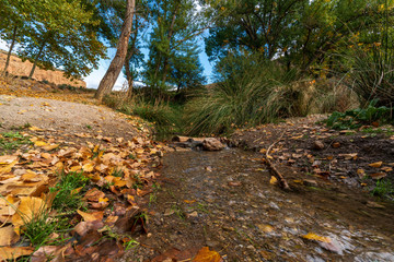 small creek in the forest of Fondon