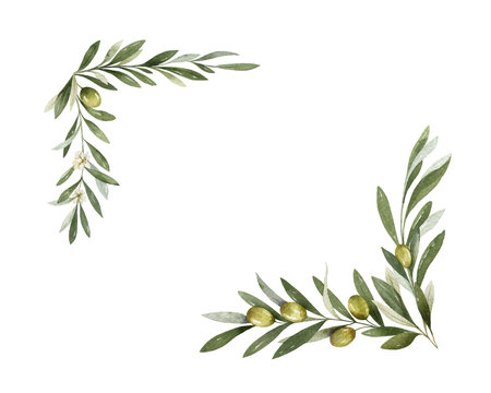 Watercolor vector wreath of olive branches and lemon.