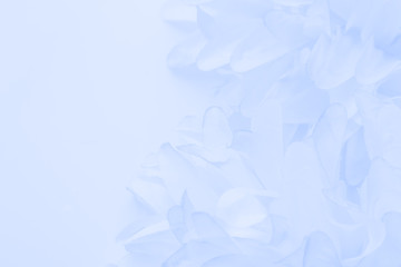 Beautiful abstract color purple and blue flowers on white background and light blue flower frame and purple leaves texture 
