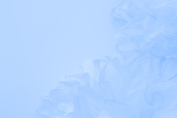 Beautiful abstract color purple and blue flowers on white background and light blue flower frame and purple leaves texture 