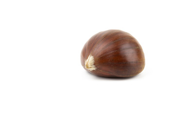 sweet chestnut fruit isolated on white closeup