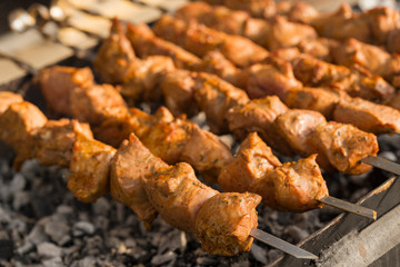 Meat slices prepare on fire. Baked meat on skewers.