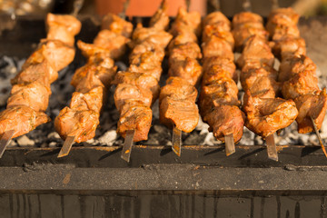 Meat slices prepare on fire. Baked meat on skewers.