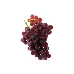 Grape or fresh grapes on a background new.
