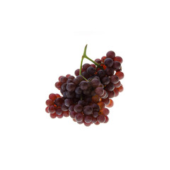 Grape or fresh grapes on a background new.