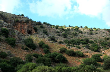 Fototapeta na wymiar mountain of Galillea