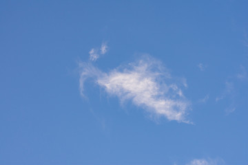 The Clouds in the sky.