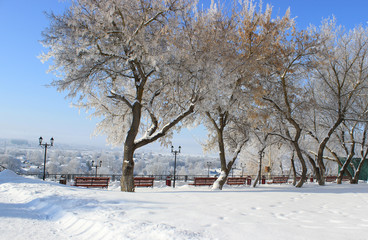 Urban recreation area at the cliff. Trees in the snow