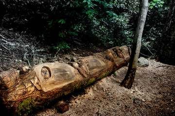 Geschnitzte Bank im Wald um Cawdor Castle, Schottland