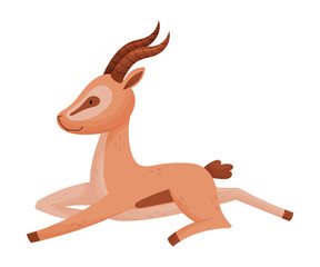 African Wild Brown-tailed Gazelle with Horns Vector Illustration