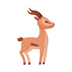 African Wild Brown-tailed Gazelle with Horns Vector Illustration