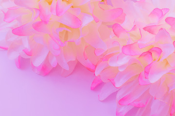 Fototapeta premium Beautiful abstract color pink and white flowers on white background and pink flower frame and purple leaves texture background, flowers banner 