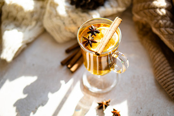 Hot winter drink with cinnamon and lemon on bright sunny day