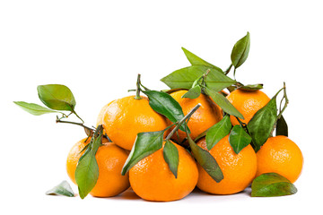 A lot of tangerines with green leaves