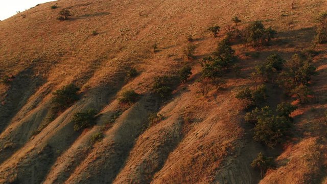 Side view of mountainous landscape with growing bushes under the sunset light in the evening. Shot. Aerial of hilly region on blue sky background.