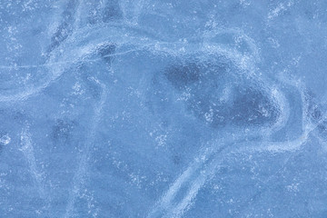 The macro or closeup shot of ice texture or background on the puddle or pool in the frost winter...