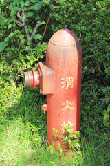 雑草の中に立つ古びた消火栓