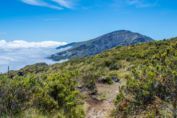 An overlooking view of nature in Maui, Hawaii