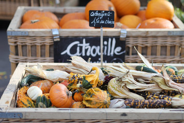 Pumpkins on the market in Paris. October, harvest season in France. Halloween preparation in the...